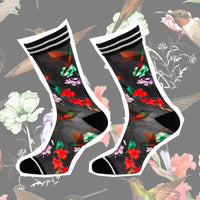 Sock my Hummingbird
