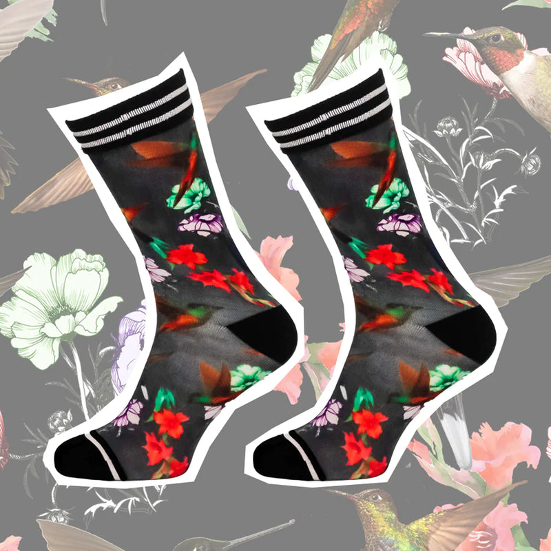 Sock my Hummingbird