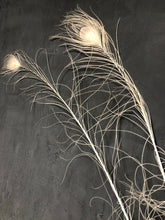 Afbeelding in Gallery-weergave laden, Pauwenveer wit
