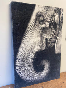 Wandpaneel olifant stof