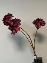 Afbeelding in Gallery-weergave laden, Fall Hydrangea Aubergine
