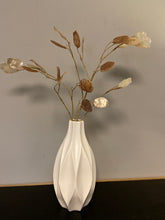 Afbeelding in Gallery-weergave laden, Lunaria zijdentak
