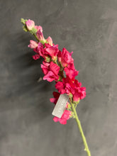 Afbeelding in Gallery-weergave laden, Silka pink
