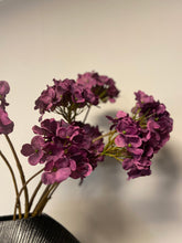 Afbeelding in Gallery-weergave laden, Fall hydrangea purple
