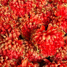 Afbeelding in Gallery-weergave laden, Mini Mum Orange
