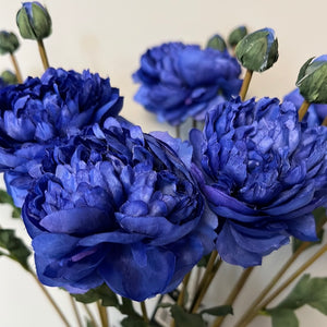 Ranunculus Bleu