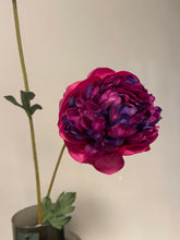 Afbeelding in Gallery-weergave laden, Ranunculus spray beauty
