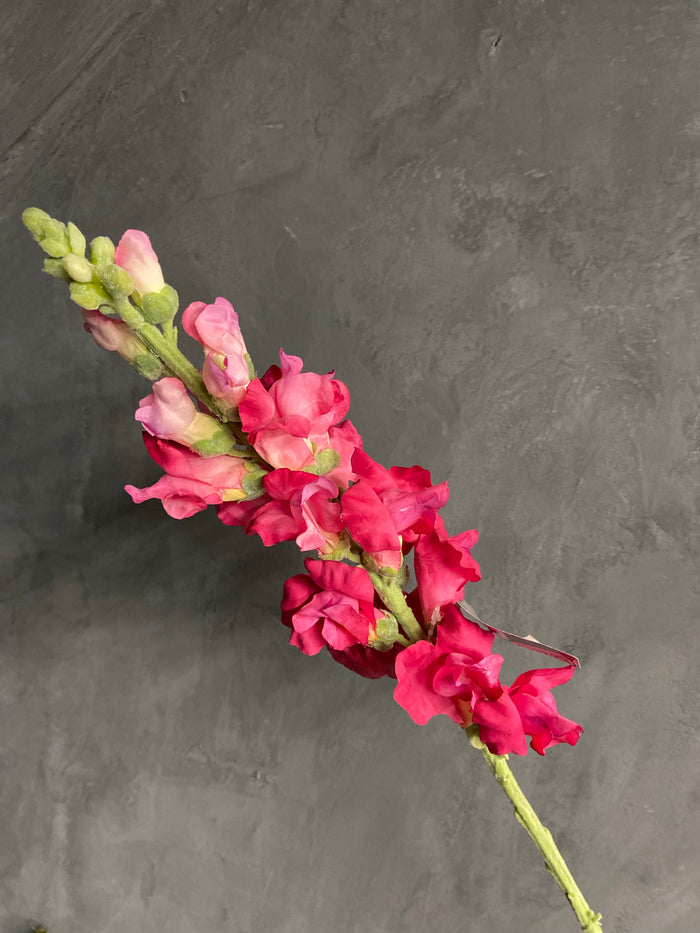 Silka pink