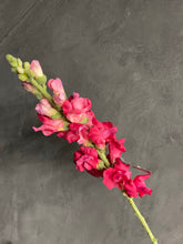 Afbeelding in Gallery-weergave laden, Silka pink
