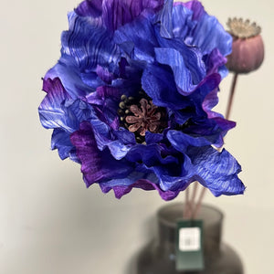 Poppy Purple