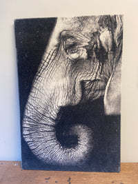 Wandpaneel olifant stof
