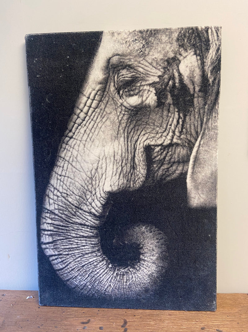 Wandpaneel olifant stof