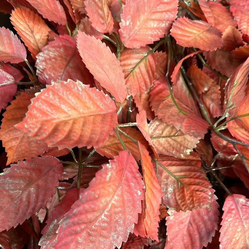 Medium Leaf copper