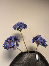 Afbeelding in Gallery-weergave laden, Fall Hydrange blue
