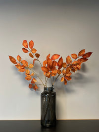 Medium Leaf copper