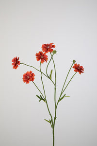 Mini Cosmos Flower