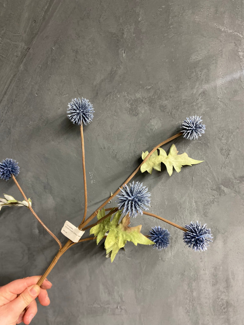 Distel blue