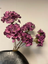 Afbeelding in Gallery-weergave laden, Fall hydrangea purple

