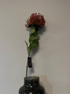 Single Protea Red