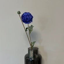 Afbeelding in Gallery-weergave laden, Ranunculus Bleu

