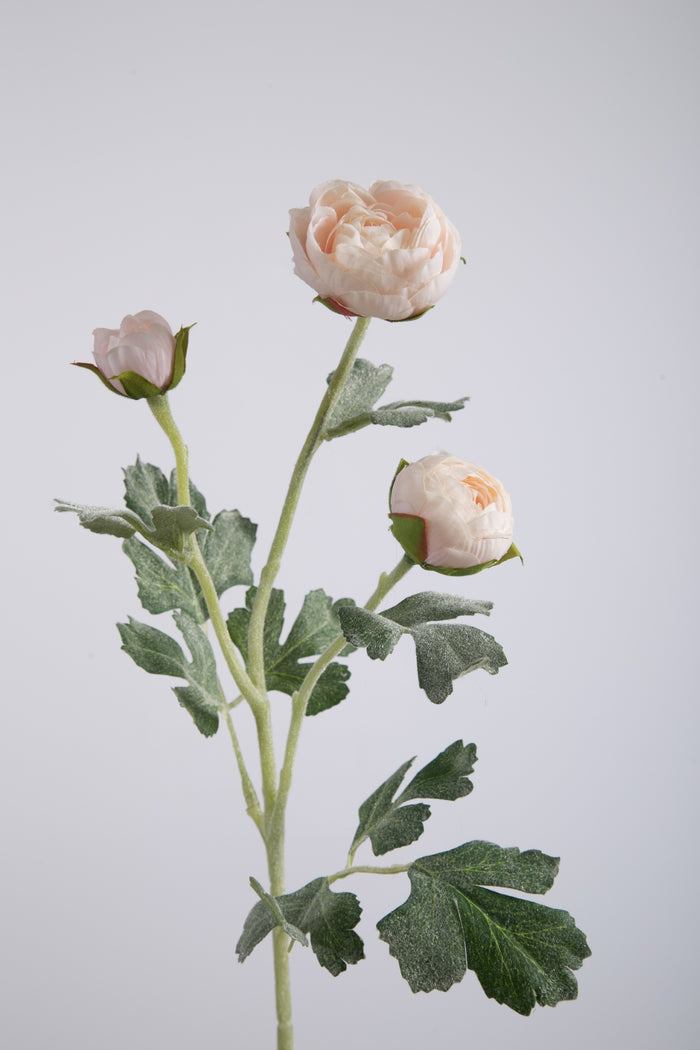 Ranunculus Spray soft pink